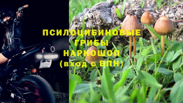 скорость Сосновоборск