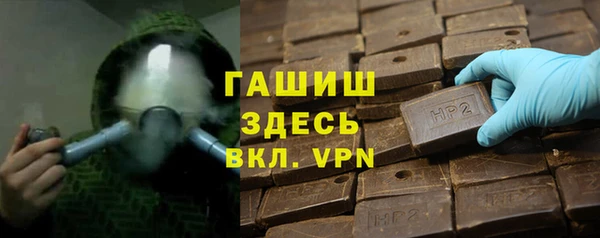 сатива Балахна