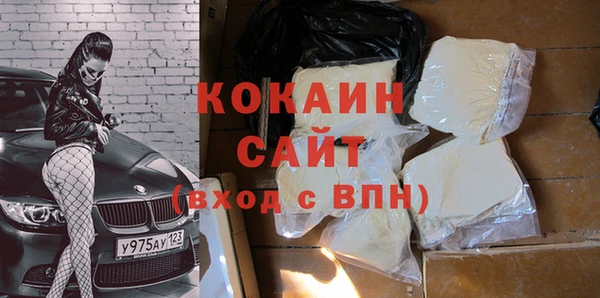 сатива Балахна