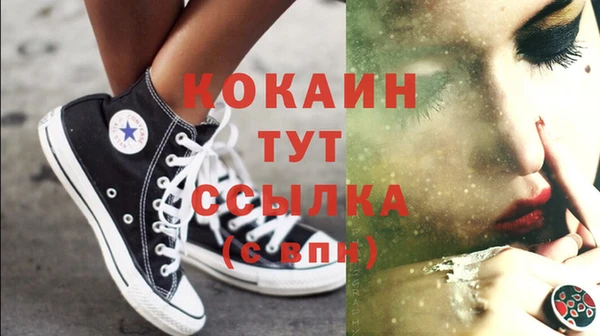 сатива Балахна