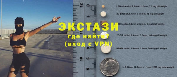 индика Слюдянка